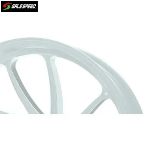 GALE SPEED (ゲイルスピード) YZF-R6(17-20) アルミ鍛造ホイール [TYPE-SB1] フロント 350-17 ソリッドホワイト ガラスコーティング仕様 29230036SWQ