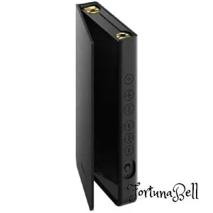 ソニー(SONY) ウォークマン純正アクセサリー NW-ZX707専用 NW-ZX707専用 レザーケース ブラック CKL-NWZX700