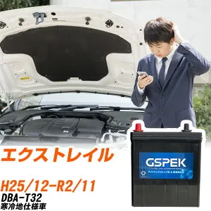 日産 エクストレイル T32 H25/12-R2/11 寒冷地仕様車 バッテリー 車用 GSPEK Wシリーズ W-S100/PL 【H04006】