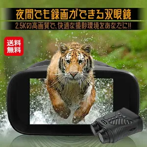 【夜間でも録画ができる双眼鏡 NV-B01】【送料無料】【ポイント 2倍～10倍】暗視REC双眼鏡 赤外線 暗視スコープ カメラ 付き 広角 双眼鏡 夜 4倍 録画 望遠鏡 ナイト ビジョン スコープ 防犯 狩