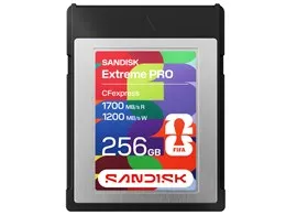 SDCFE-256G-GF4NN [256GB]