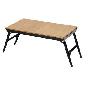 スノーピーク エクステンションIGT (CK-090) ／ ウッドテーブル キャンプ バーベキュー 折りたたみ ロースタイル リビングにも