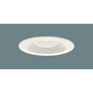 パナソニック 天井埋込型 LED（電球色） 軒下用ダウンライト 浅型8H 高気密SB形 ビーム角24度 集光タイプ LEDフラットランプ交換型 防湿型 防雨型／埋込穴φ150 【品番：XED1220LCE1（LRD9200 + LLD20