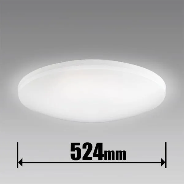 ホタルクス 10畳～12畳 LEDシーリングライト(カチット式) HotaluX HLDC12311SG 返品種別A