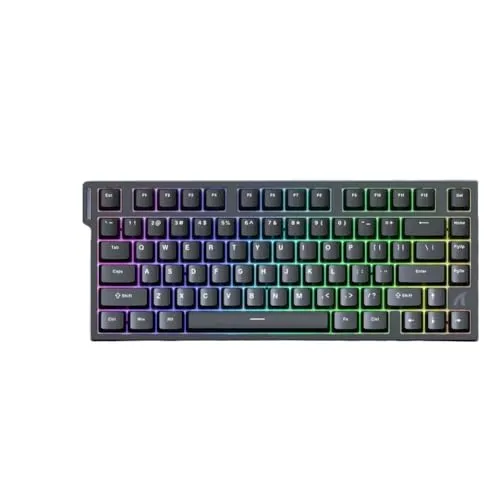 ゲーミングキーボード 磁気 75% 有線 8000Hz ラピッドトリガー ProGamer キーボード 0.005mm RT 精度 0.08ms 遅延 5420 と互換性あり(Black)