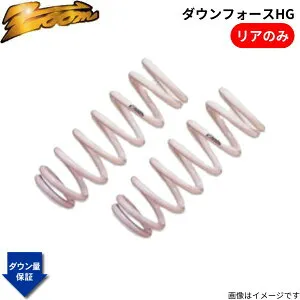 ダウンサス MINI(R50/R52/R53/R55/R56/R58/R59) RE16 BMW 2001/10～2008/10 R53 前期 Fサス外径 113.130 ズーム ダウンフォースHG リアのみ ZOOM