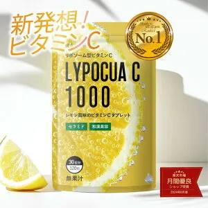 リポソームビタミンC サプリ 和漢美容成分配合 チュアブルタイプ セラミド 持続型ビタミン 潤い クコ葉 ヨモギ ウコン配合／12袋(1袋120粒 約30日分) LypocuaC1000