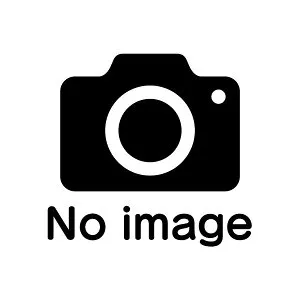 ダイソン 掃除機 Dyson PencilVac Fluffycones SV50 FC [マットブラック]