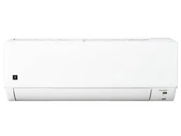 AY-T22DG [ホワイト系]