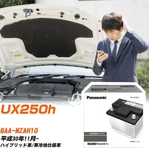 レクサス UX250h MZAH10 H30/11- 寒冷地仕様車 バッテリー 車 パナソニック PAシリーズ N-350LN1/PA 【H04006】