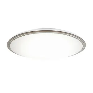 【4月25日限定！最大100％ポイントバック】ホタルクス LEDシーリングライト 12畳 調色 HLDC12321SG