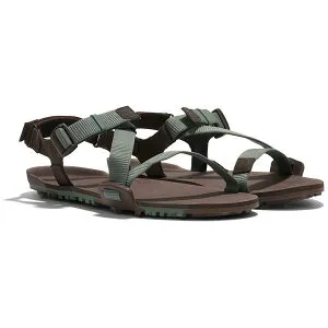 ゼロシューズ Xero Shoes メンズ ZトレイルEV ダークフォレスト/ジャヴァブラウン M8 26.0cm TTM-DFJN