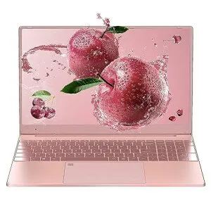 ノートパソコン【Win11搭載/MSOffice2019】15.6インチ大型FHDIPS画面高速CeleronN5095最大2.9GhzDDR416G1920x1080FHDUSB3.0*2/HDMI/TFカードマウス付属