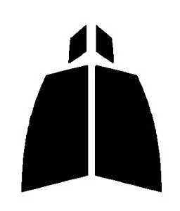 FUNKYGHOST(ファンキーゴースト) プリズム99 運転席・助手席 マツダ プレマシー CWEFW・CWEAWカット済みカーフィルム UVカット 99％ 紫外線対策 断熱 IR効果 遮熱効果