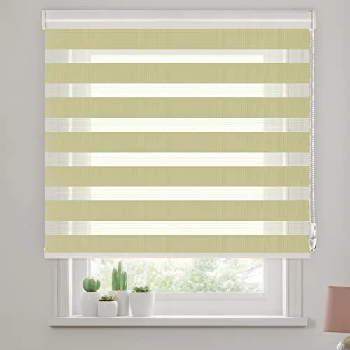 SAIFANSI ロールスクリーン 調光 ロールカーテン ブラインド 遮光 断熱 幅30～220cm/丈?300cm オーダーメイド チェーン式 目隠し UVカット 取り付け簡単 薄緑 幅175×丈135cm