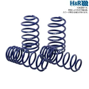 H&R ダウンサス [アウディ A4 アヴァント 8E B6 B7 6気筒車 00- Audi] 送料無料