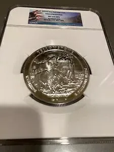 2010 5 オンス シルバー 25C イエローストーン NGC MS 69 DPL