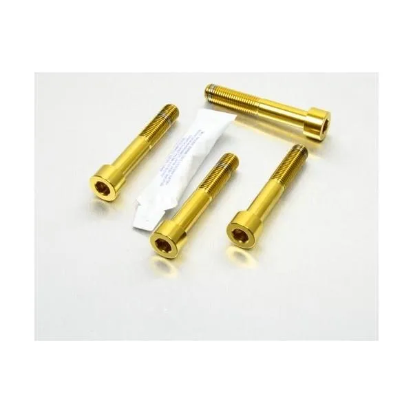 PRO BOLT プロボルト Stainless Steel Front Brake Mounting Bolt Kit カラー：ゴールド キャリパーボルト・マウントボルト ブレーキ
