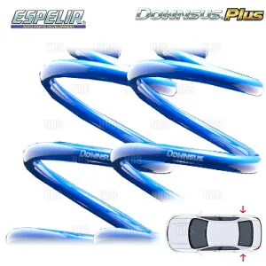 ESPELIR エスペリア ダウンサス プラス (リア) DAYZ ROOX （デイズ ルークス ハイウェイスター） B21A 3B20 H28/12～R2/2 4WD車 (ESN-3436R