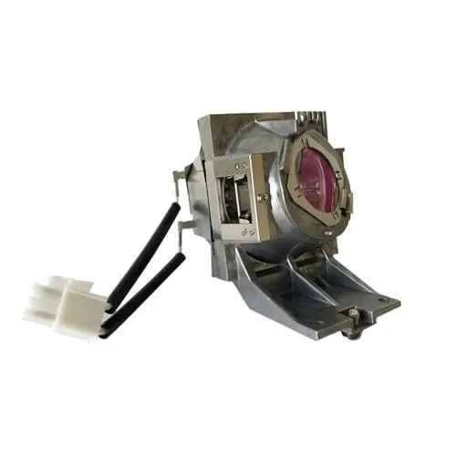 純正 5J.JHN05.001 プロジェクターランプ W1700 W1720 TK800M HT2550 プロジェクター用(Lamp with housing)