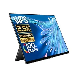 EHOMEWEIモバイルモニター17インチ144Hz2.5KゲーミングモニターQLEDポータブルモニター100%DCI-P3広色域iPhone/PS4/PS5/XBOX/Switch/PC/Mac対応スピーカー内蔵ブルーライトカット