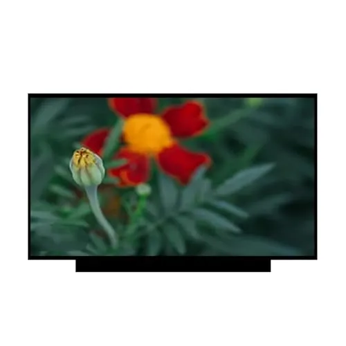 17.3インチ IPS ノートパソコン LCD スクリーン 72% NTSC FHD 1920x1080 30pin EDP、B173HAN04.2 と互換性あり B173HAN04.3 N173HCE-E3A N173HCE-E3B NV173FHM-N