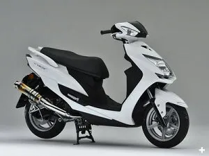 バイク用品 マフラーリアライズレーシング リアライズ イグジスト チタンマフラー シグナスX SR EBJ-SEA5J E3T5E340-010-01 4548916756995取寄品