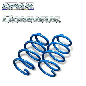 ESPELIR エスペリア ダウンサス リアのみ パッソ KGC15 H16.6～H22.2 1KR-FE 4WD 1.0L X/G/GFパッケージ