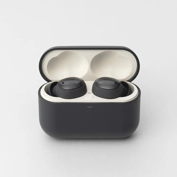 final（ファイナル）ワイヤレスイヤホン ZE500 for ASMR ダークグレー