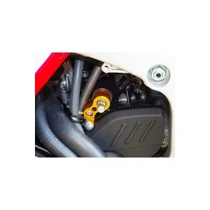 BABY FACE (ベビーフェイス) シフトスピンドルホルダー CBR600RR ゴールド 002-H009S