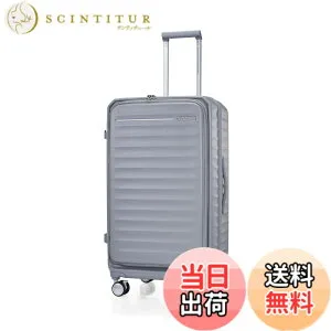 【送料無料】[アメリカンツーリスター] スーツケース キャリーケース フロンテック FRONTEC スピナー S/M/L/トランクサイズ 色：旧モデル・クールグレー、サイズ：Lサイズ(7泊-長期旅行)