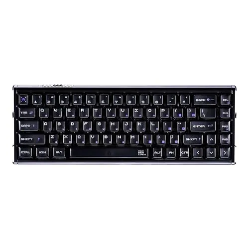 ATK RS6+ 65%有線メカニカルゲーミングキーボード アルミ磁気スイッチ 8Kポーリングレート 0.08ms超低レイテンシー 5層音響パッド RGBバックライト PCMac用 - ブラックサムライ