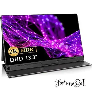 サイズ：13.3インチ EVICIV 13.3インチ 2K モバイルモニター モバイルディスプレイ 薄型 軽量 IPSパネル USB Type-C ミニHDMI ケース付 VESA対応 EVC-1301 (13.3インチ)