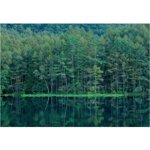 サンゲツ デジタルプリント壁紙 リザーブ（HIGH GRAFICA）風景写真 奥蓼科 御射鹿池 Lサイズ（4巾） W3600mm×H2500mm HZ-7044L