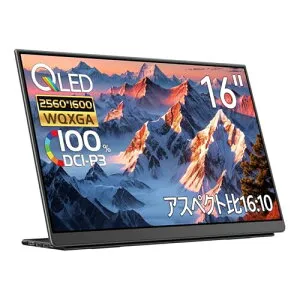 EHOMEWEI モバイルモニター 144hz 2.5K 16インチ WQXGA 2560*1600 QLED 量子ドット ポータブルモニター 非光沢 Windows/MacOS 対応 100% DCI-P3 ゲーミング Type-C 保護 フィルム ケース付 軽量 薄型 メーカー2年保