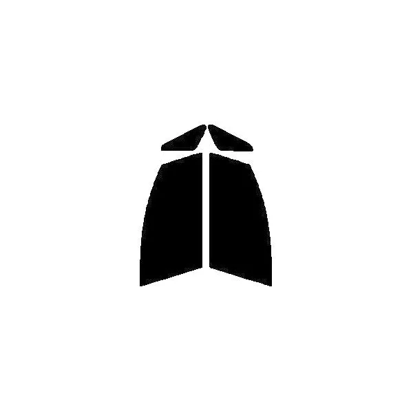 GHOST2 NEO(ゴースト2 ネオ) オーロラ79 運転席、助手席 ホンダ オデッセイ RB1・2 後期 カット済みフィルム