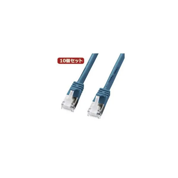サンワサプライ 【10個セット】サンワサプライ ツメ折れ防止カテゴリ5eSTPLANケーブル KB-STPTS-005BLX10