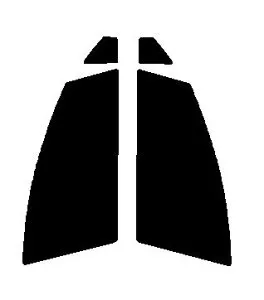 GHOST2 NEO(ゴースト2 ネオ) オーロラ79 運転席・助手席 トヨタ アクア NHP10カット済みカーフィルム UVカット 99％ 紫外線対策 断熱 IR効果 遮熱効果