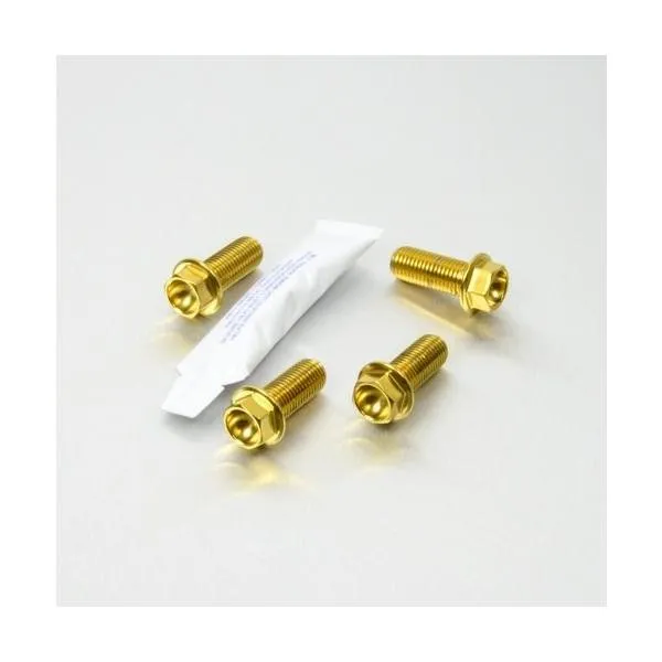PRO BOLT プロボルト Stainless Steel Front Brake Mounting Bolt Kit カラー：ゴールド KAWASAKI カワサキ SUZUKI スズキ キャリパーボルト・マウントボルト