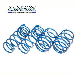 エスペリア デイズルークス B21A スプリング ダウンサス フロント ESN-1566F スーパーダウンサス Super DOWNSUS ESPELIR