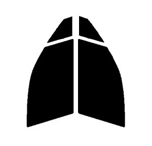 GHOST2 NEO(ゴースト2 ネオ) オーロラ79 運転席・助手席 スバル フォレスター SJ5・SJGカット済みカーフィルム UVカット 99％ 紫外線対策 断熱 IR効果 遮熱効果