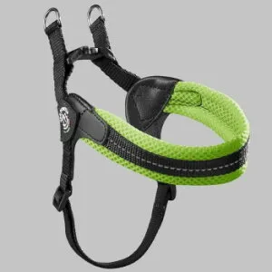 （ペット） TRE PONTI フィッビア アジャスタブルタイプ ソフトメッシュ グリーン 2号 LTP123 ペット 犬 猫 キャット ドック | 関連単語 キャットタワー 人気 犬小屋 犬服 水槽 熱帯魚 アイディ