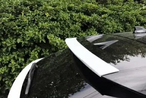 FE0 ARIYA アリア リアルーフスポイラー FRP 塗装取付