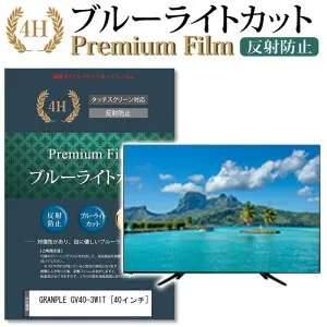 GRANPLE GV40-3W1T [40インチ] 機種で使える ブルーライトカット 液晶TV 保護フィルム メール便送料無料 jgs bgt 互換品