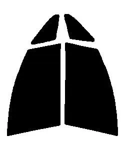 GHOST2 NEO(ゴースト2 ネオ) オーロラ79 運転席・助手席 トヨタ エスティマ MCR30W・MCR40W・ACR30W・ACR40W・AHR10Wカット済みカーフィルム UVカット 99％ 紫外線対策 断熱 IR効果 遮熱効果