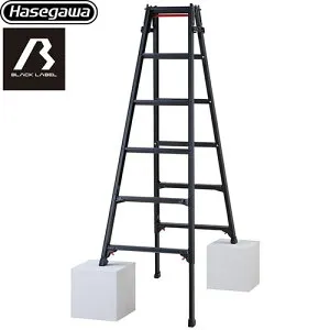 [RYZB-18a] はしご兼用脚立 RYZB 6段 長谷川工業 はしご・脚立 ブラックレーベルシリーズ 最大使用質量：100kg アルミ合金 ブラック 【送料無料】【直送 代引・土日祝配送・時間指定 不可】