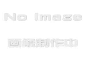 スズキ ワゴンRスマイル【MX81S MX91S】 ナンバープレートリム＆ナンバープレートロックボルトセット[9911D-63R10]