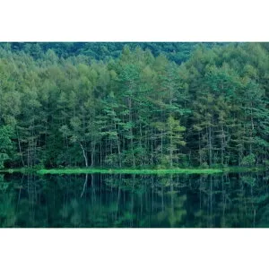 サンゲツ デジタルプリント壁紙 リザーブ（HIGH GRAFICA）風景写真 奥蓼科 御射鹿池 Sサイズ（2巾） W1800mm×H1250mm HZ-7044S 1セット