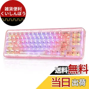 【送料無料】YUNZII X71 メカニカルゲーミングキーボード 透明キーキャップ 71キー 68%配列 ワイヤレス ホットスワップ対応 BT5.0/2.4G/USB-C ガスケット搭載 RGB 無線 Windows/Mac用 技適認証取得（クリ