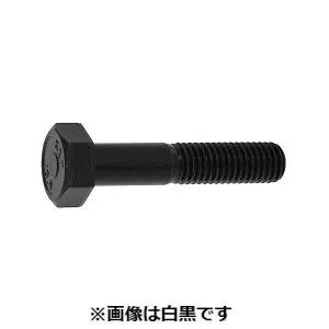 (LINEクーポン有)【個人宅配送不可】【個数：20個】SUNCO 4550041908095 【20個入】 直送 代引不可・他メーカー同梱不可 ジオメット 10．9 六角ボルト 22X70X50